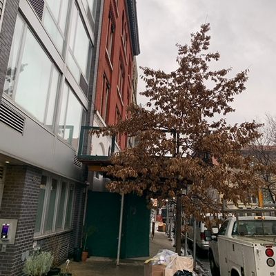 D'Leon Contracting Inc.